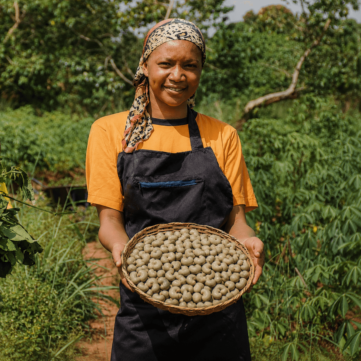A woman farmer standing in her field, holding out a basket of freshly harvested groundnuts.